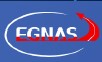 EGNAS